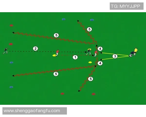 足球巨星数据全解析：球场表现、技术特点与成长轨迹深度剖析